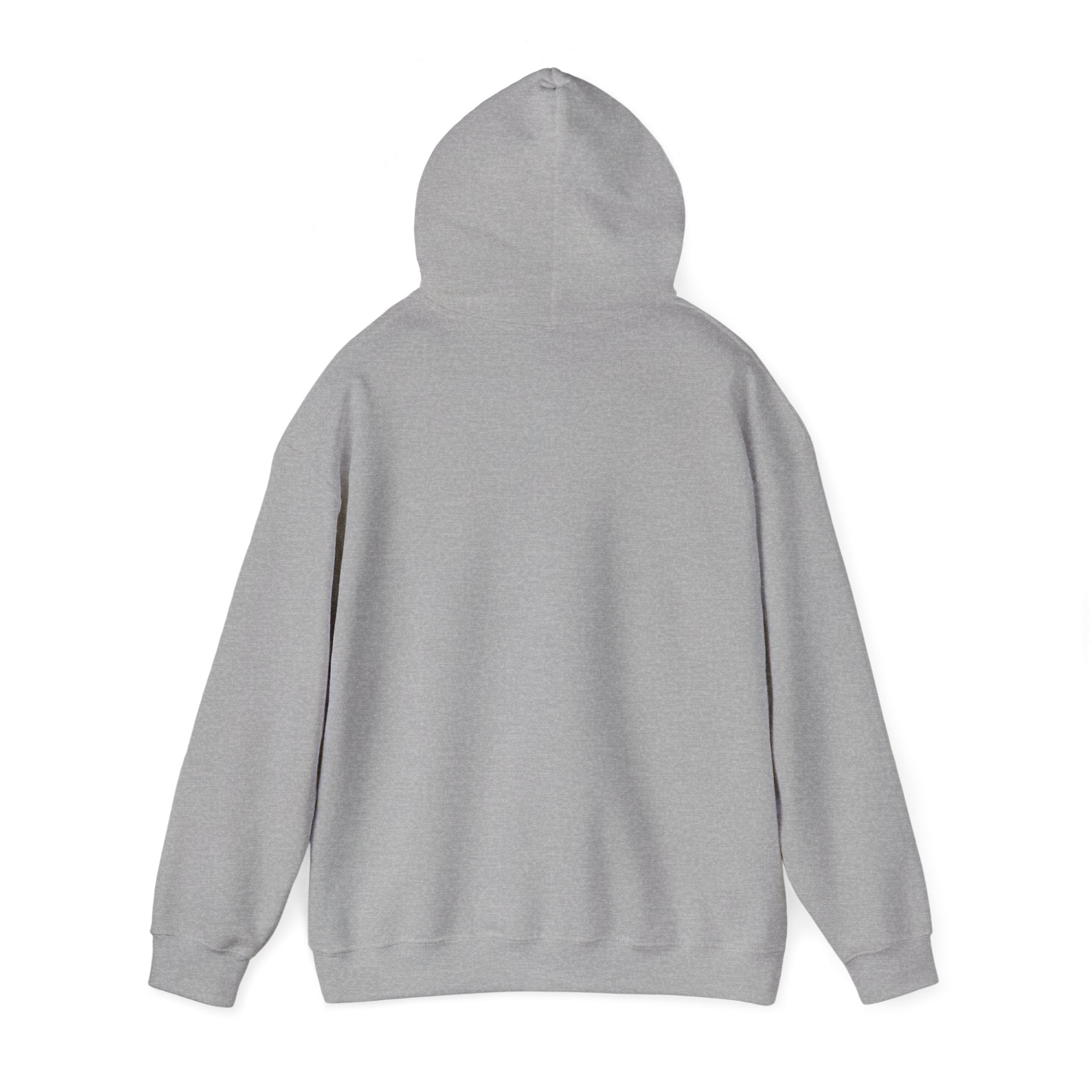 OUTSIDE HURTS Hoodie | wind-chill minimalism, winter meme
