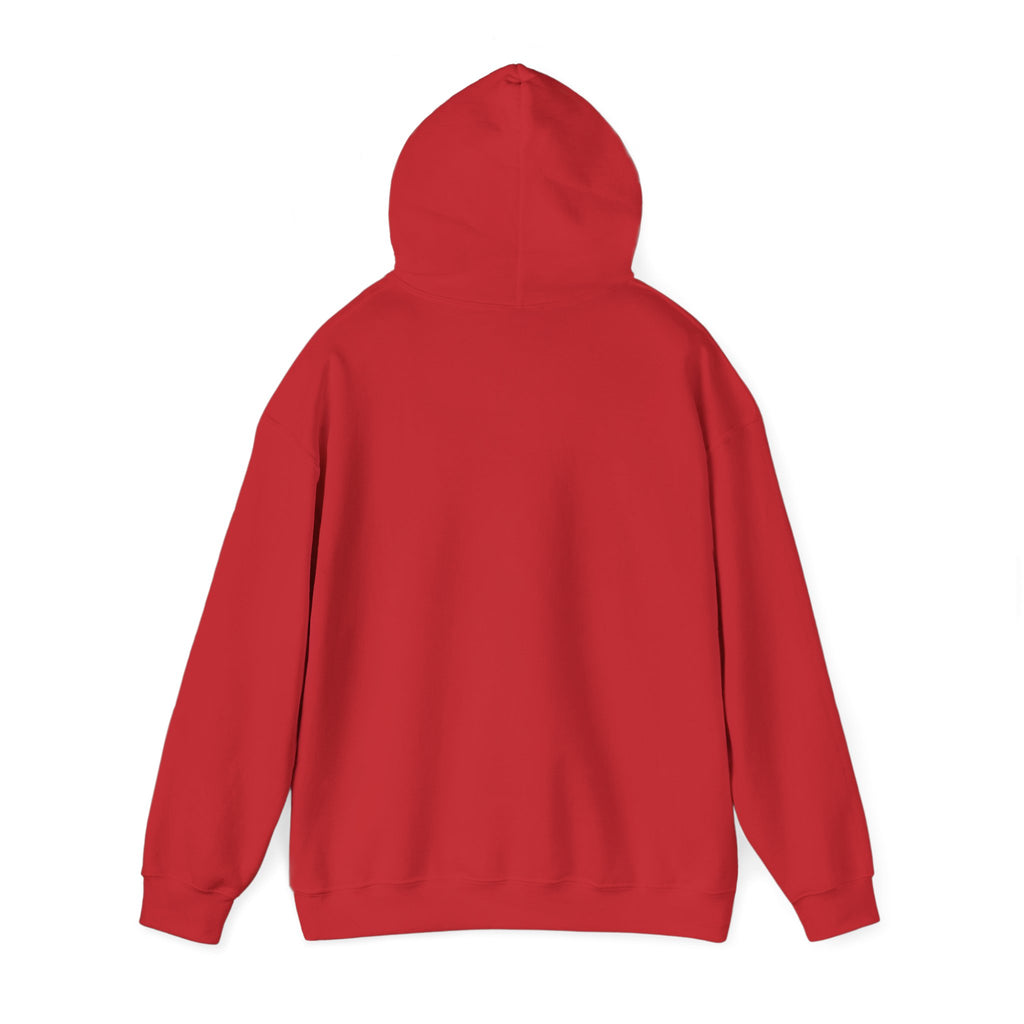 OUTSIDE HURTS Hoodie | wind-chill minimalism, winter meme