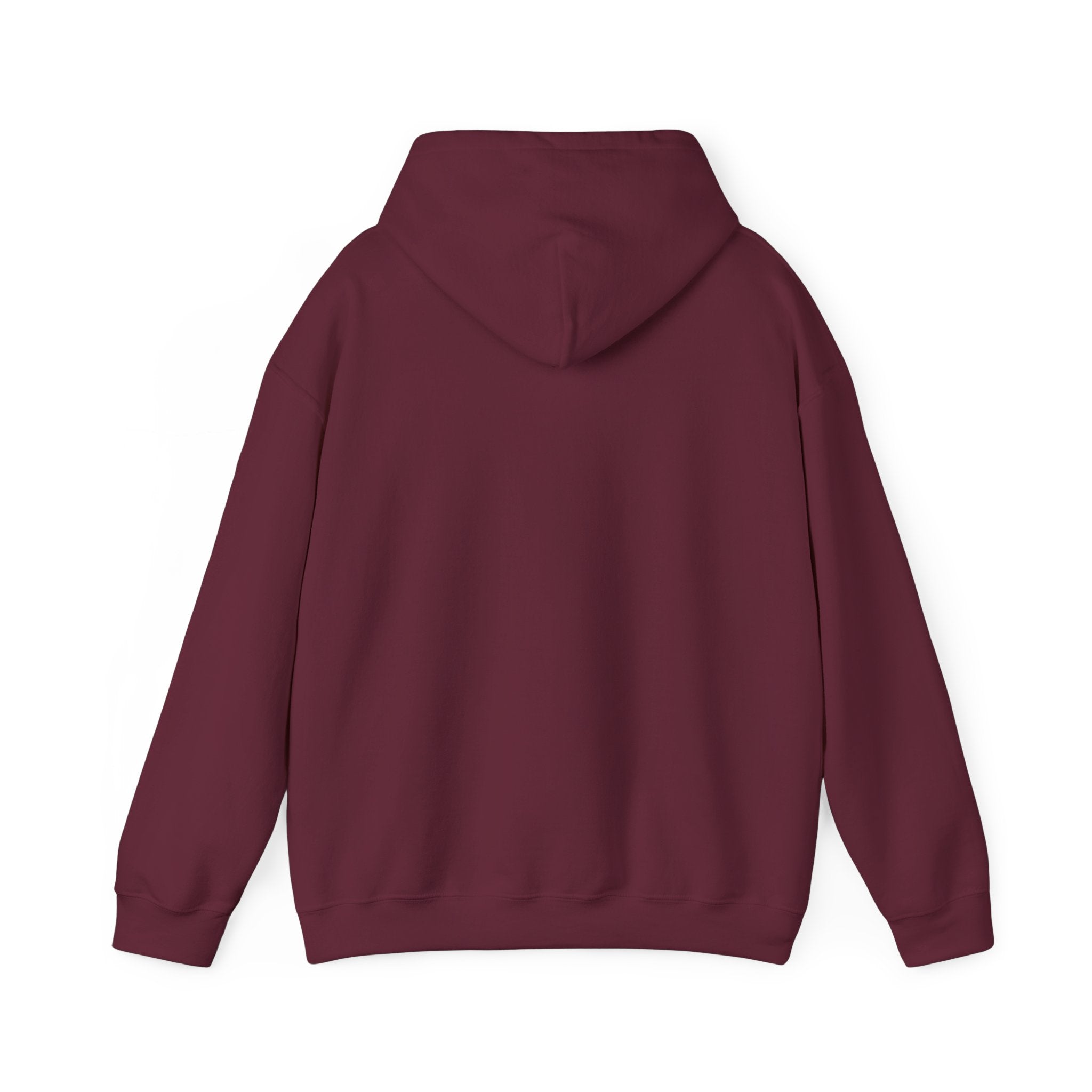 OUTSIDE HURTS Hoodie | wind-chill minimalism, winter meme