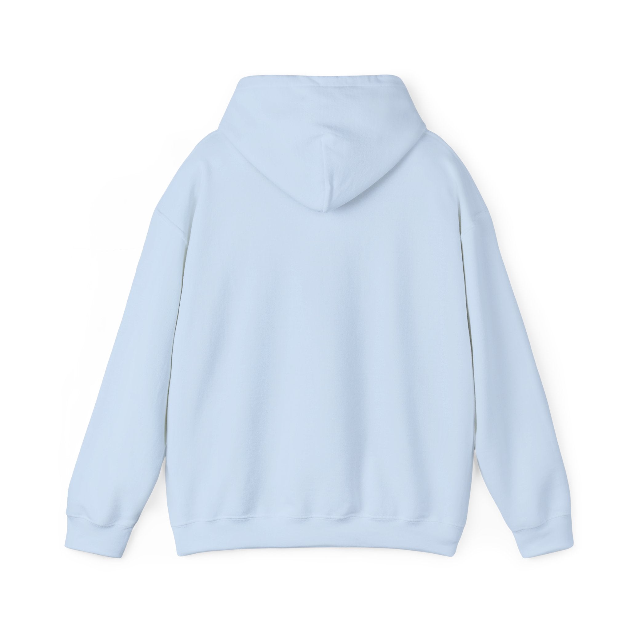 OUTSIDE HURTS Hoodie | wind-chill minimalism, winter meme